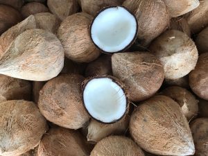 Thủ tục nhập khẩu trái dừa khô