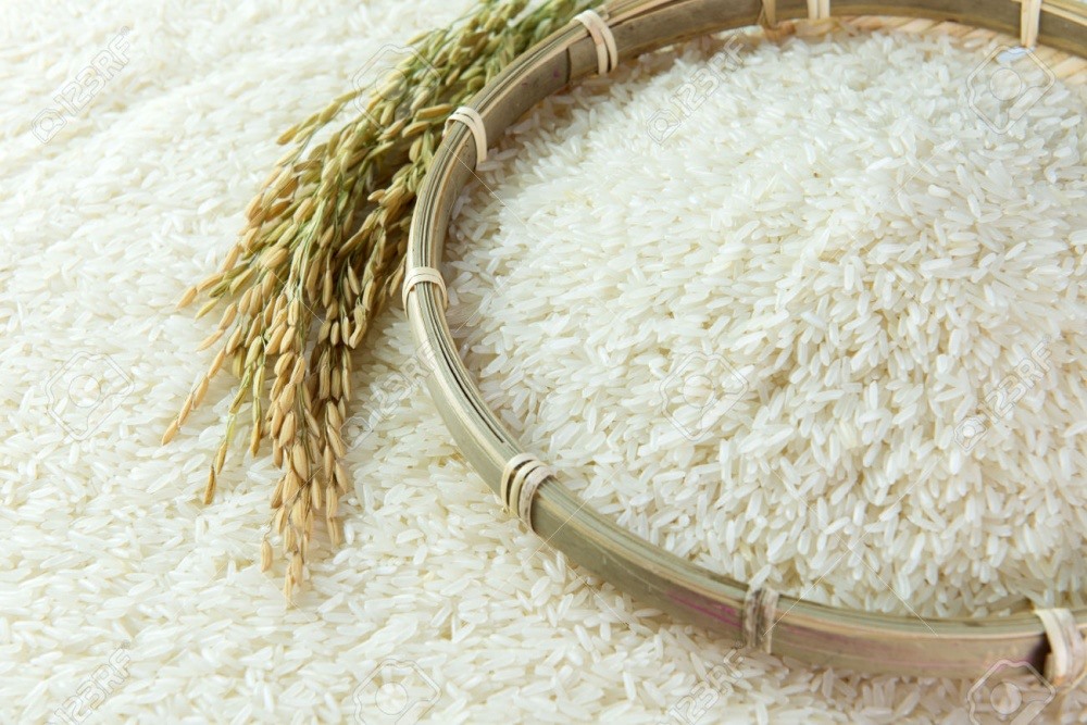 Xuất khẩu gạo chất lượng cao sang EU