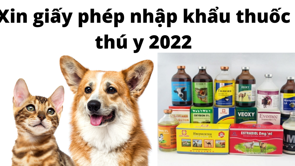 Xin giấy phép nhập khẩu thuốc thú y 2022