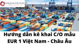 Hướng dẫn kê khai CO mẫu EUR 1 Việt Nam - Châu Âu