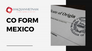 Hướng dẫn cách kê khai CO form Mexico năm 2022